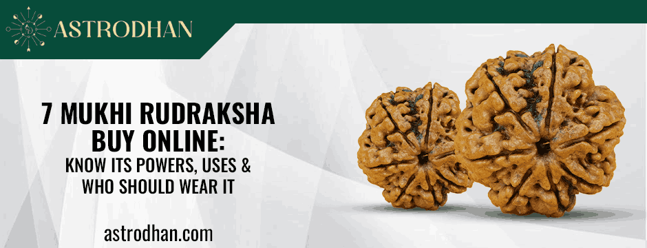 7 Mukhi Rudraksha Buy Online: Know Its Powers, Uses & Who Should Wear It